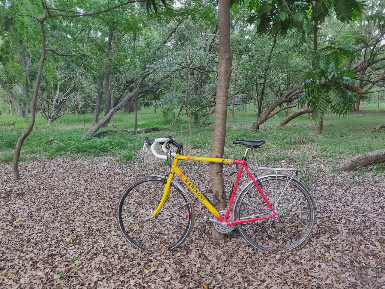 A red and yellow Marinoni bike parked in a forest