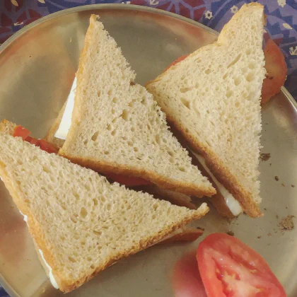 Tomato cheese sandwiches, cut and ready-to-eat.