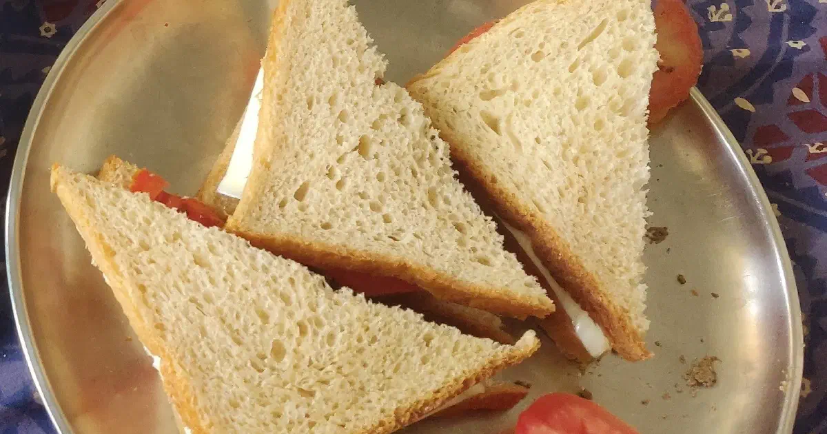Tomato Cheese Sandwich | Pranshu Gaba