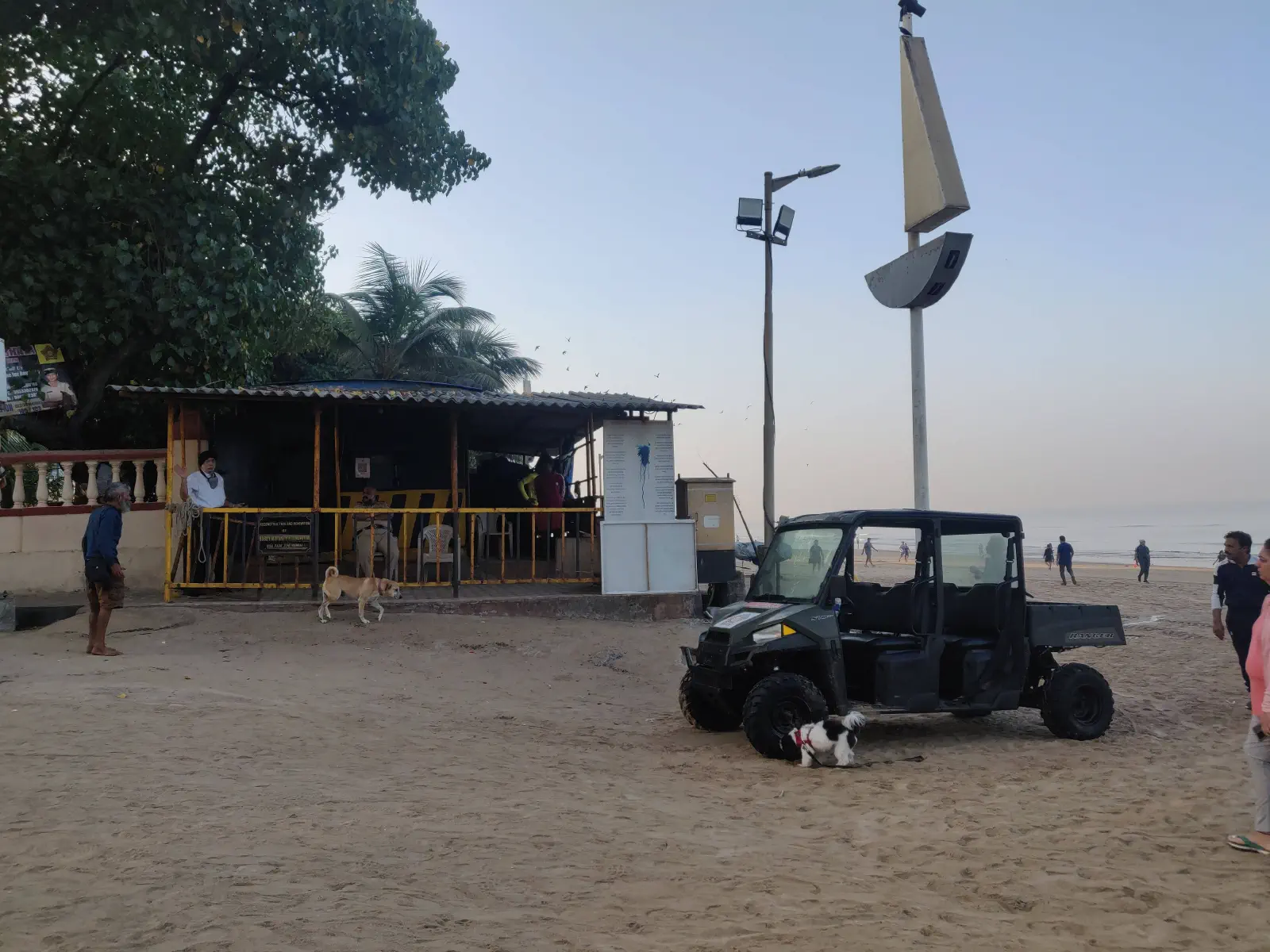 Dogs at Juhu beach