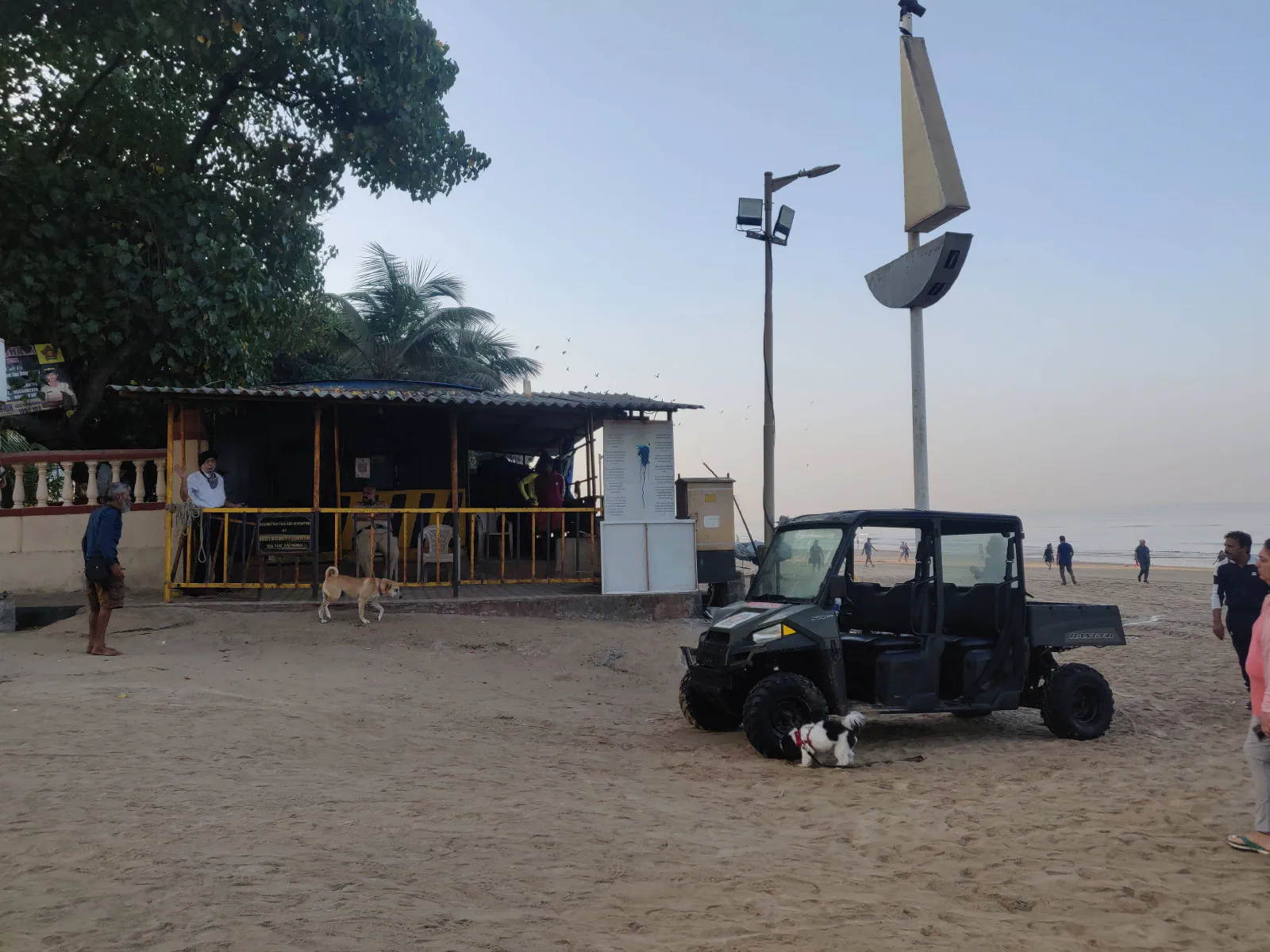 Dogs at Juhu beach

