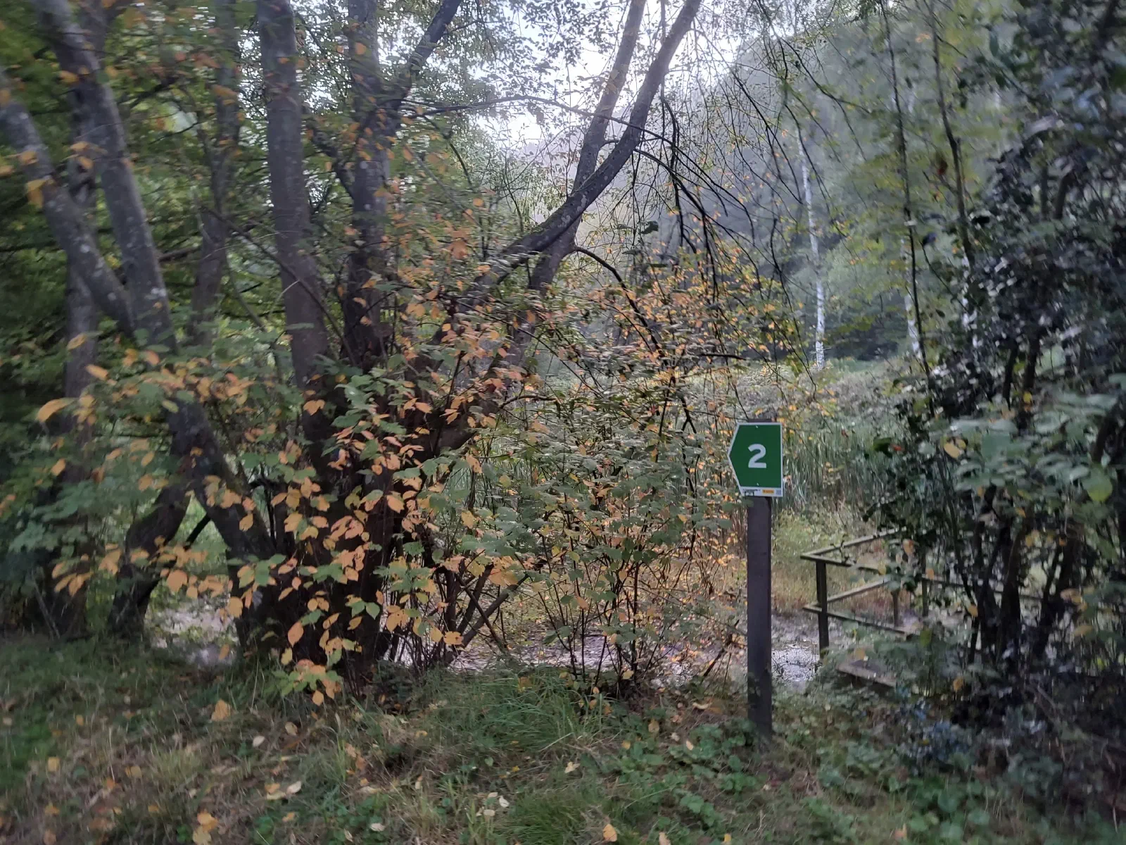 A trail marker in the woods.