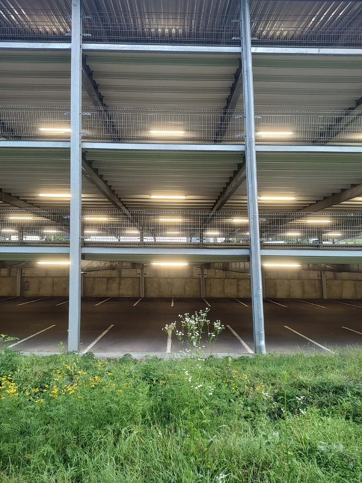 Four floors of parking lot in the background, grass in the foreground.